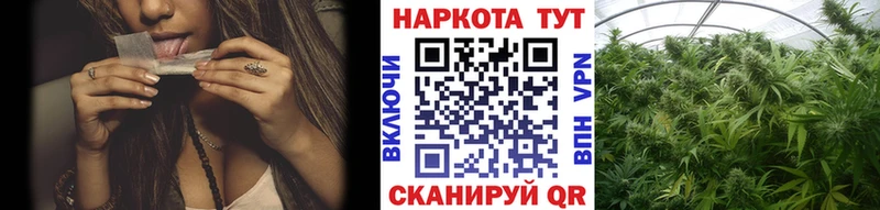 Купить наркоту Луза ГАШ  А ПВП  Меф мяу мяу  Бошки Шишки  Кокаин 